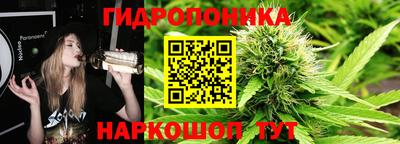 ГАЛЛЮЦИНОГЕННЫЕ ГРИБЫ Аргун