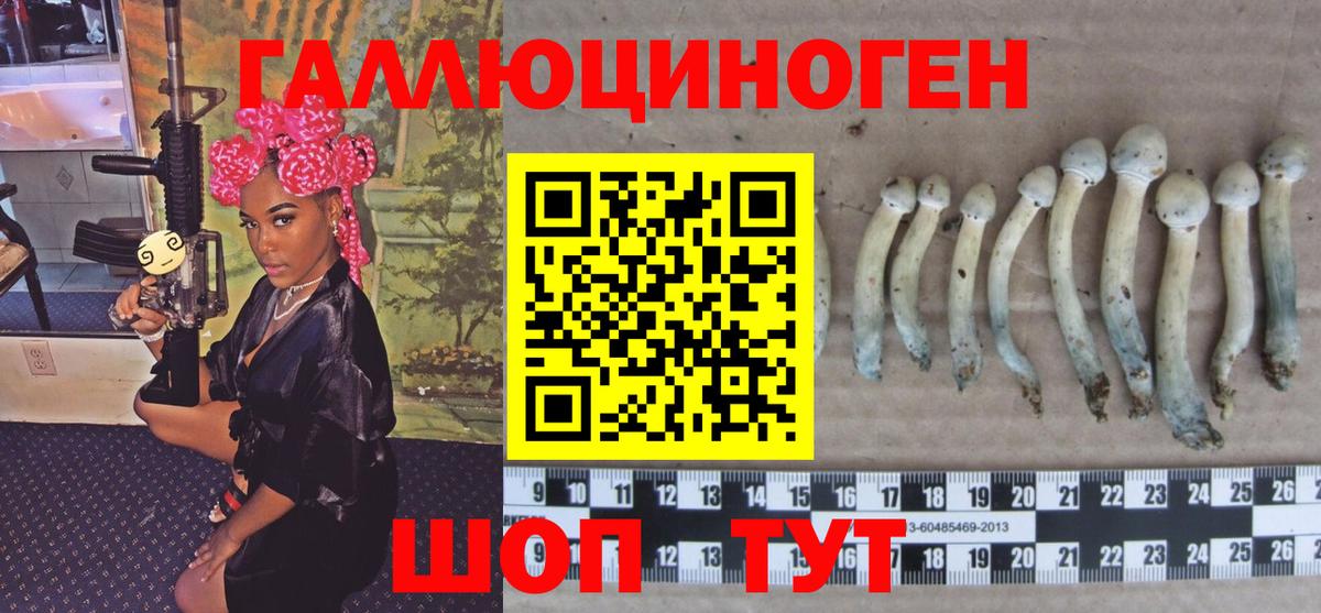 Псилоцибиновые грибы прущие грибы Барнаул