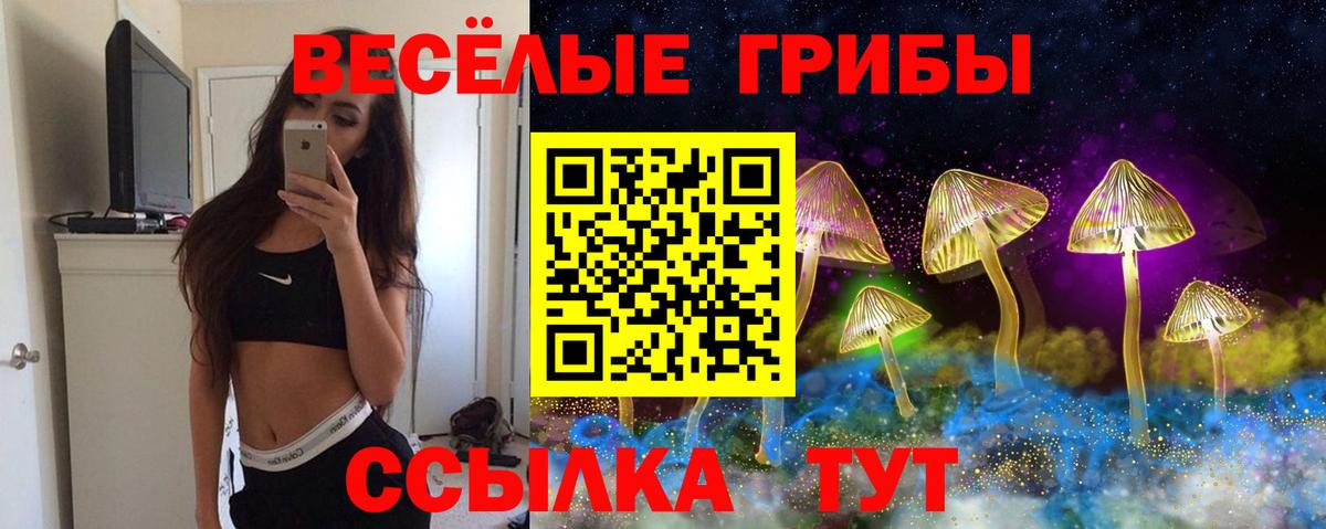 Меф Барнаул