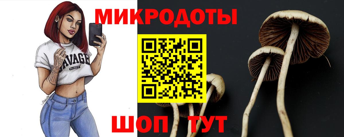 Галлюциногенные грибы прущие грибы Барнаул
